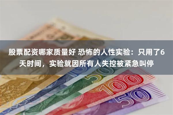 股票配资哪家质量好 恐怖的人性实验：只用了6天时间，实验就因所有人失控被紧急叫停