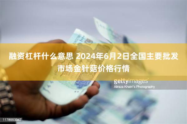 融资杠杆什么意思 2024年6月2日全国主要批发市场金针菇价格行情