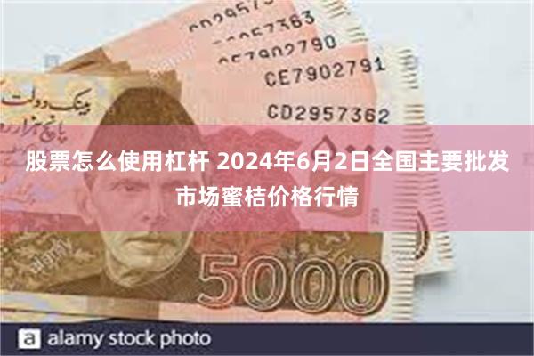 股票怎么使用杠杆 2024年6月2日全国主要批发市场蜜桔价格行情