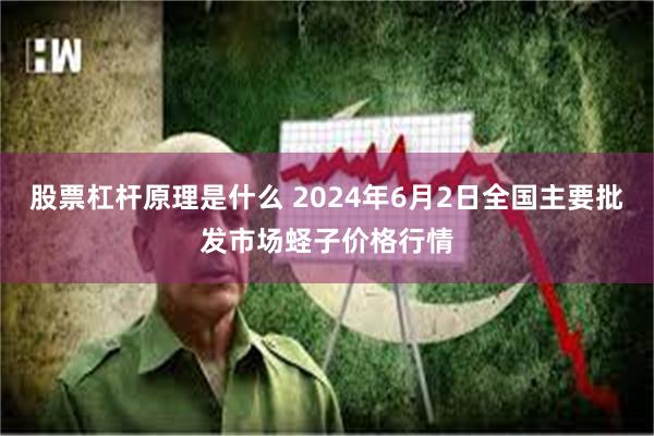 股票杠杆原理是什么 2024年6月2日全国主要批发市场蛏子价格行情