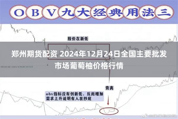 郑州期货配资 2024年12月24日全国主要批发市场葡萄柚价格行情