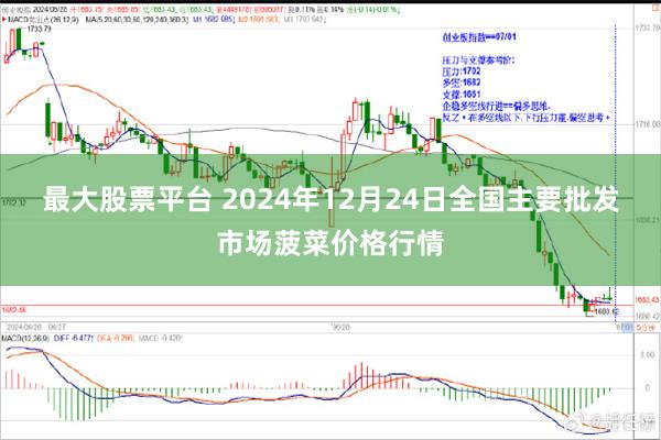 最大股票平台 2024年12月24日全国主要批发市场菠菜价格行情