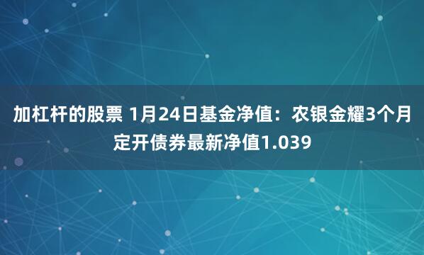 加杠杆的股票 1月24日基金净值：农银金耀3个月定开债券最新净值1.039