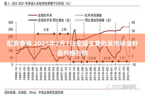 配资查询 2025年2月1日全国主要批发市场金针菇价格行情