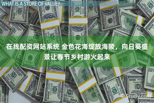 在线配资网站系统 金色花海绽放海陵，向日葵盛景让春节乡村游火起来