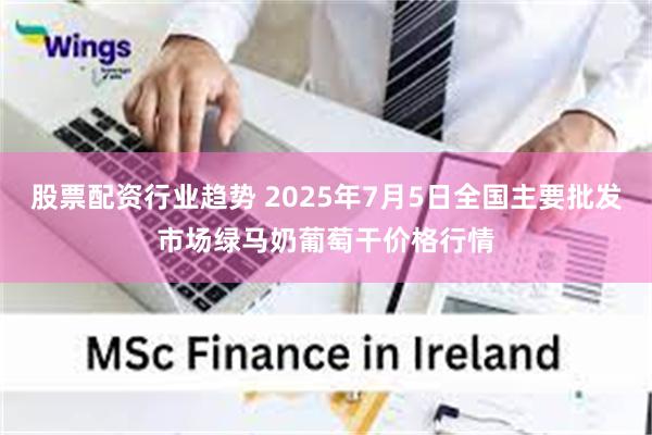 股票配资行业趋势 2025年7月5日全国主要批发市场绿马奶葡萄干价格行情
